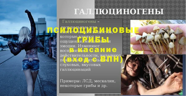 эйфоретик Алзамай