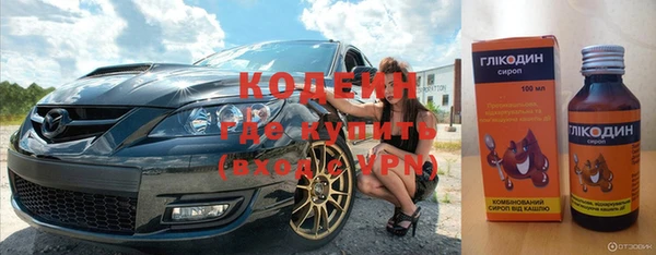 индика Абаза